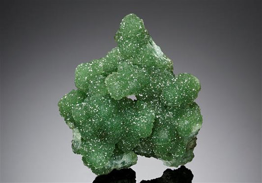 CC8540 specimen image
