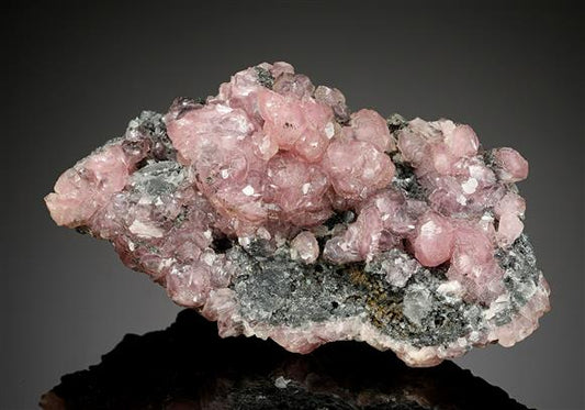 CC8544 specimen image