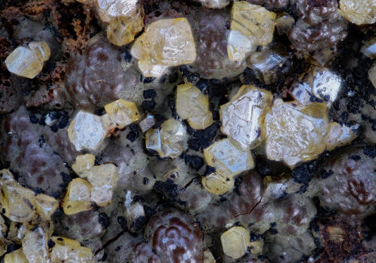 CC8557 specimen image