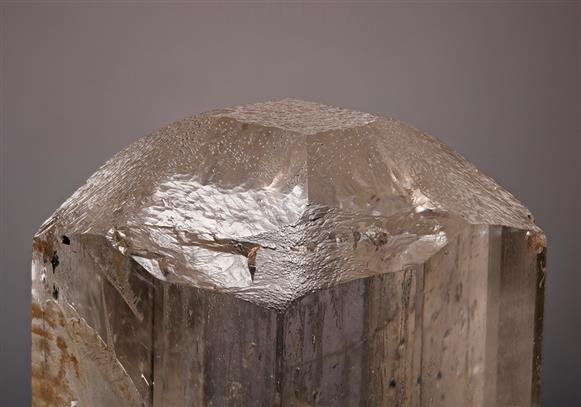 CC8566 specimen image