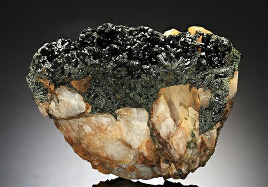 CC8585 specimen image
