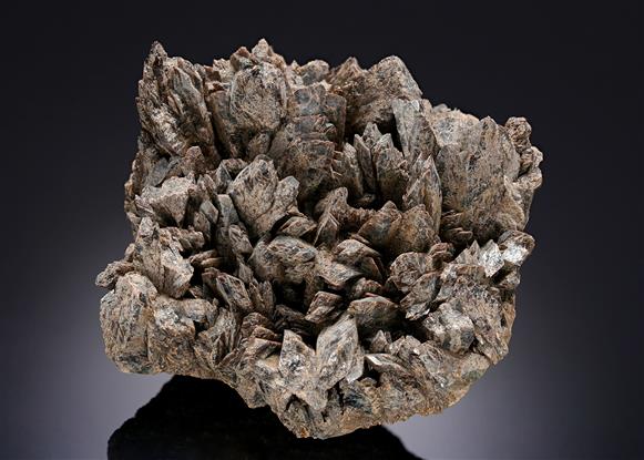 CC8599 specimen image