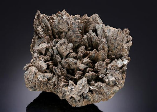CC8599 specimen image
