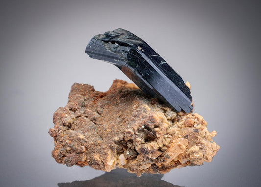 CC8605 specimen image