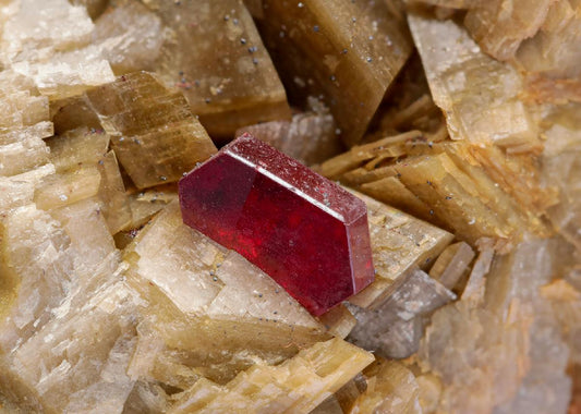 CC8607 specimen image