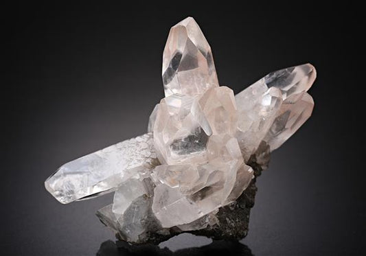 CC8616 specimen image