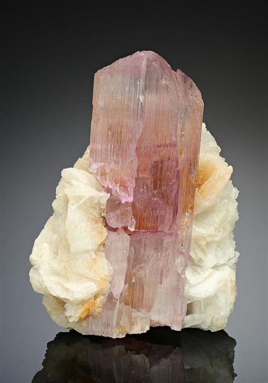 CC8653 specimen image