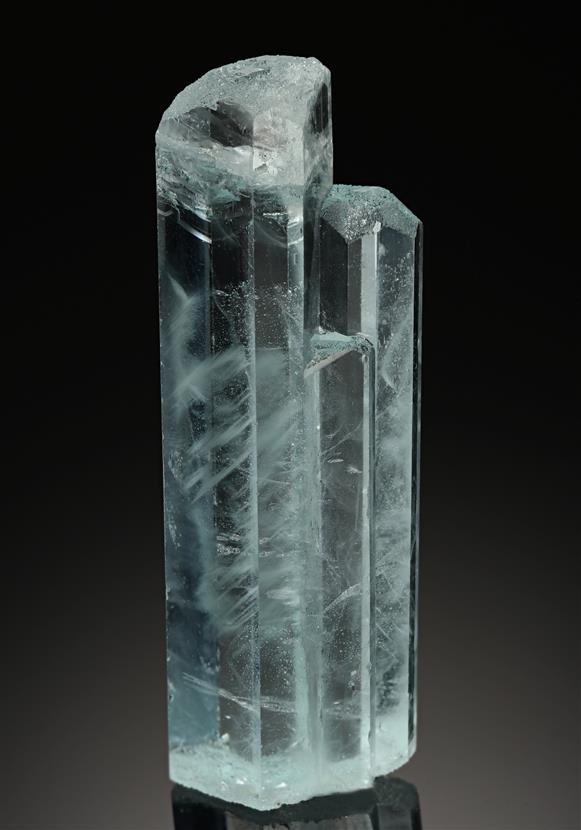 CC8656 specimen image