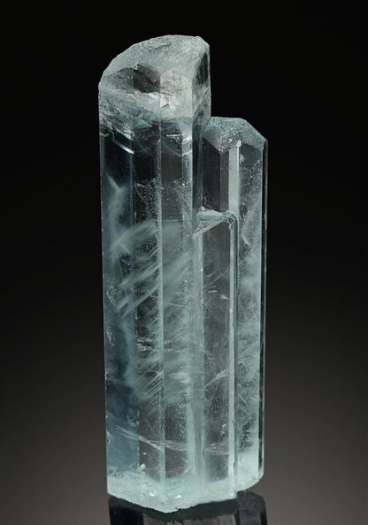 CC8656 specimen image