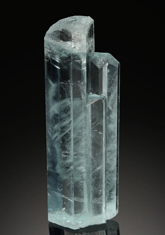 CC8656 specimen image