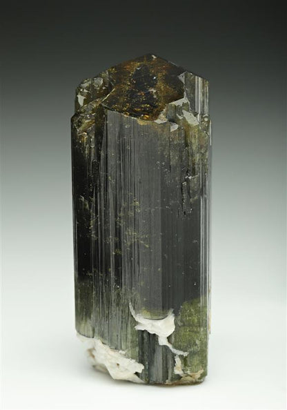 CC8658 specimen image