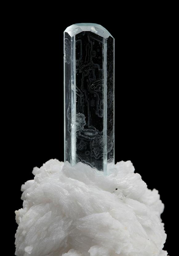 CC8659 specimen image