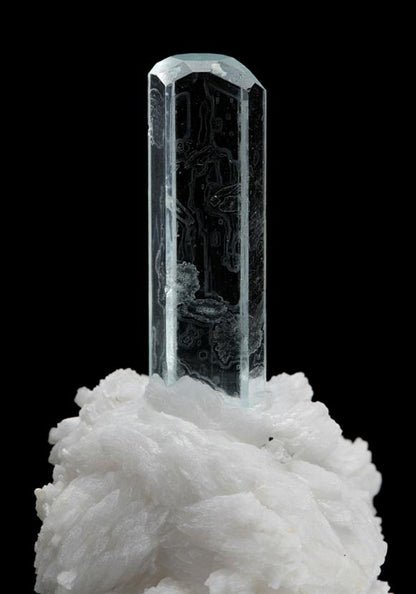 CC8659 specimen image
