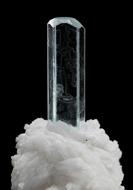CC8659 specimen image