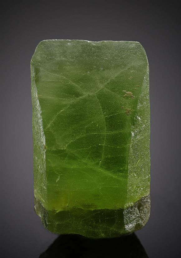 CC8660 specimen image