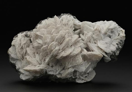 CC8664 specimen image