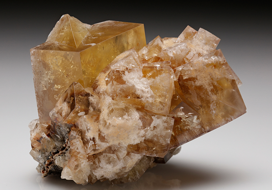 CC8667 specimen image