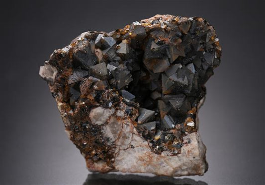 CC8668 specimen image