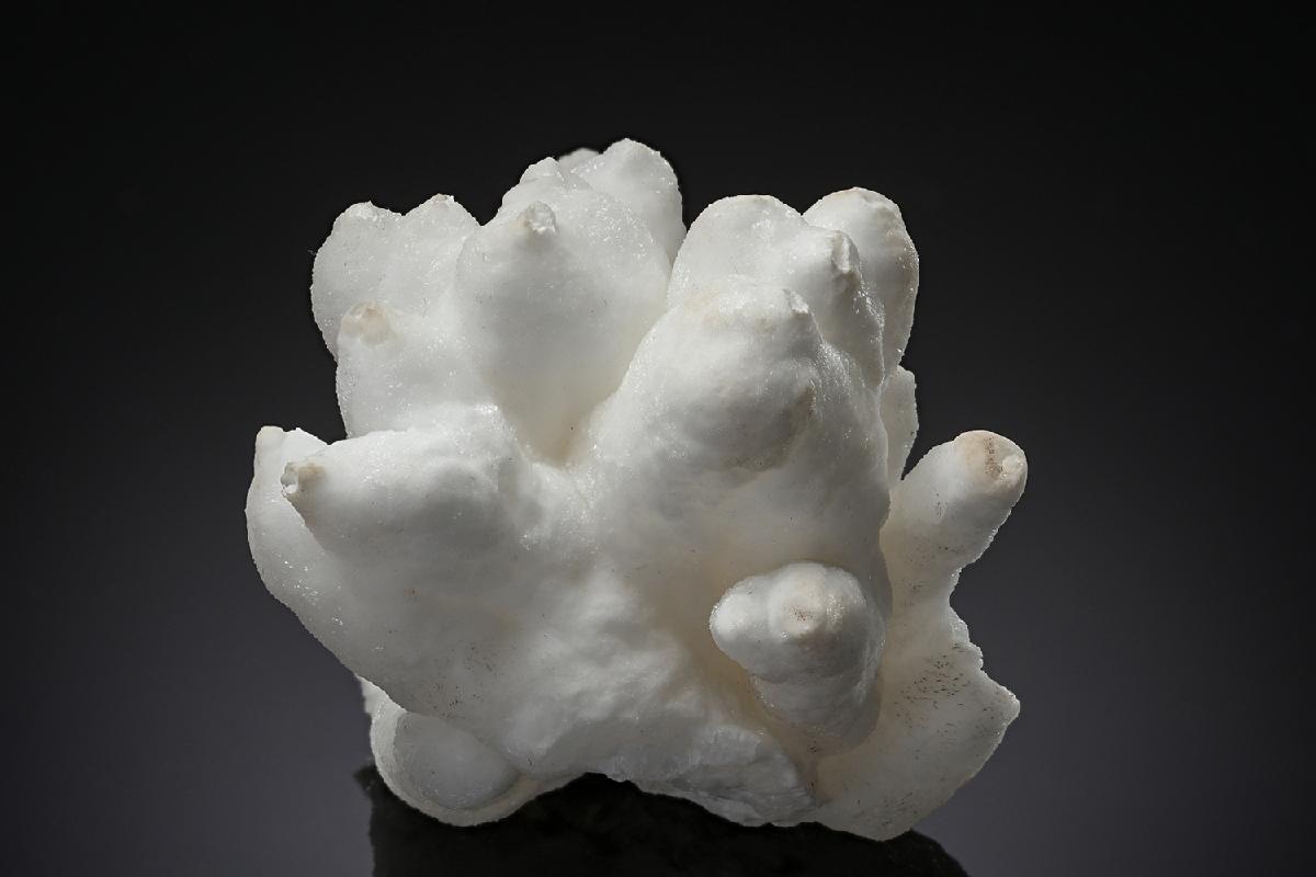 CC8682 specimen image