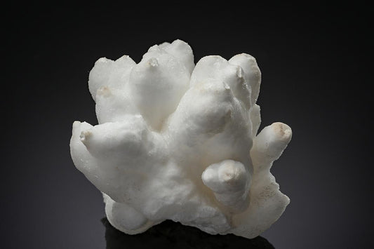 CC8682 specimen image