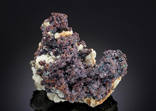 CC8744 specimen image