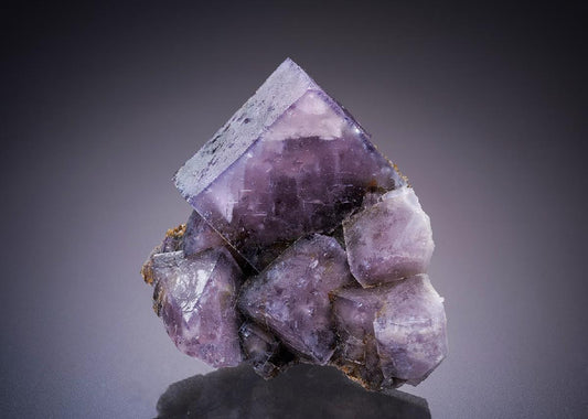 CC8759 specimen image