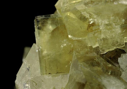 CC8761 specimen image