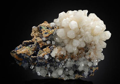 CC8776 specimen image