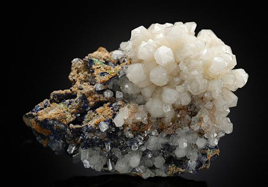 CC8776 specimen image