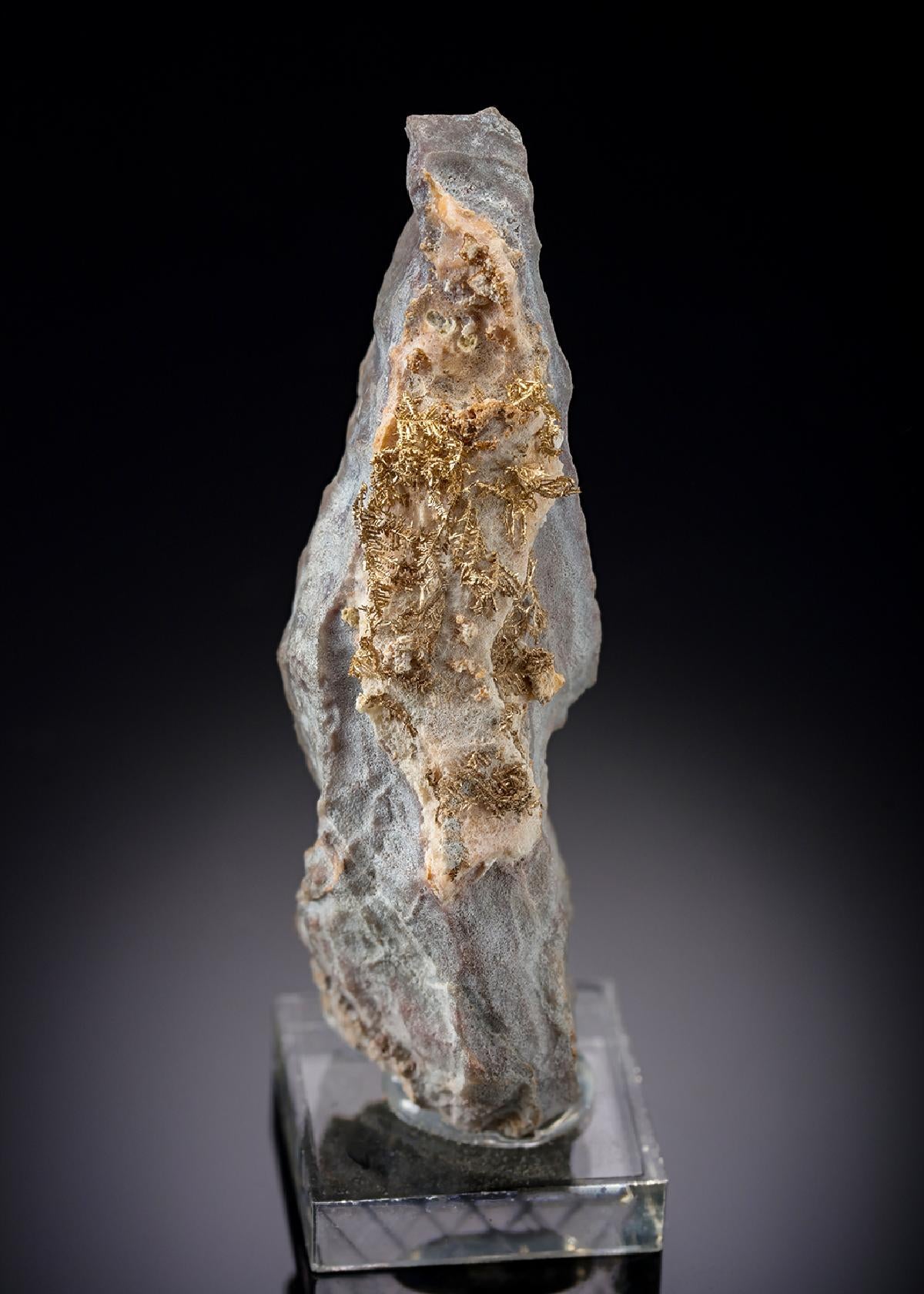 CC8780 specimen image