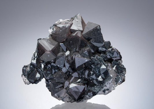 CC8891 specimen image
