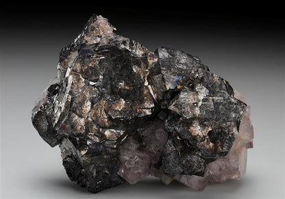 CC8893 specimen image
