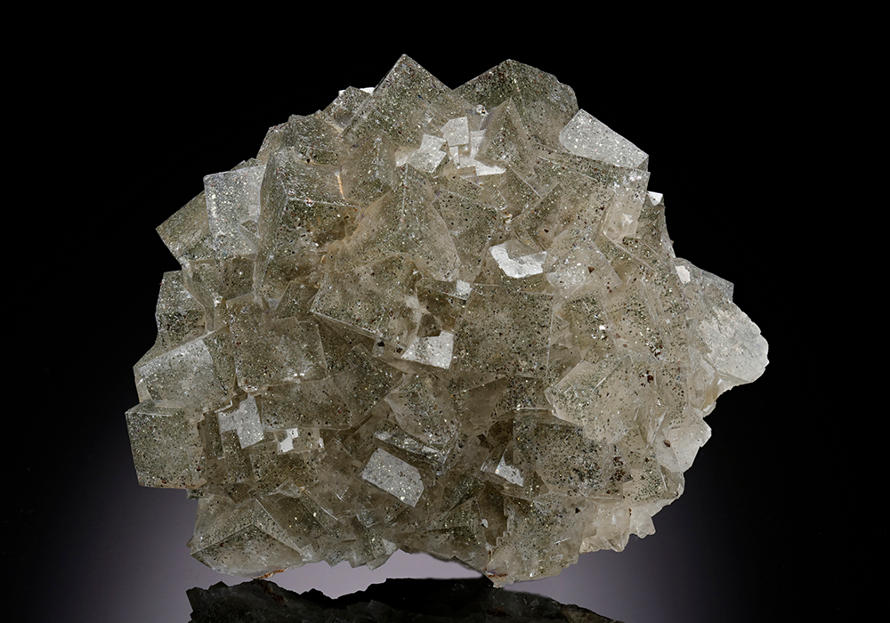 CC8897 specimen image
