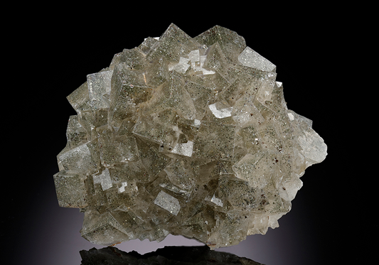 CC8897 specimen image