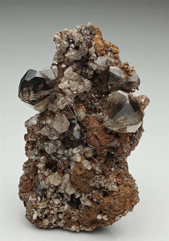 CC8909 specimen image