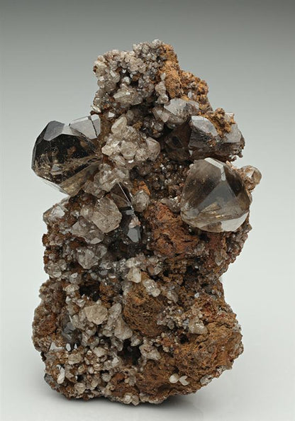 CC8909 specimen image