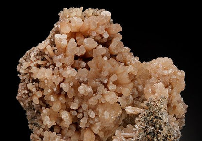 CC8914 specimen image
