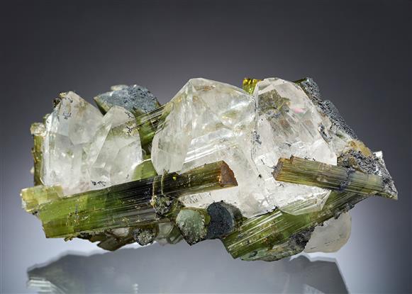 CC8957 specimen image