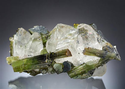 CC8957 specimen image
