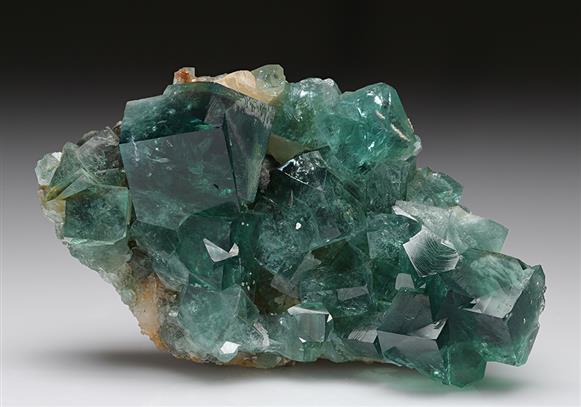 CC8979 specimen image