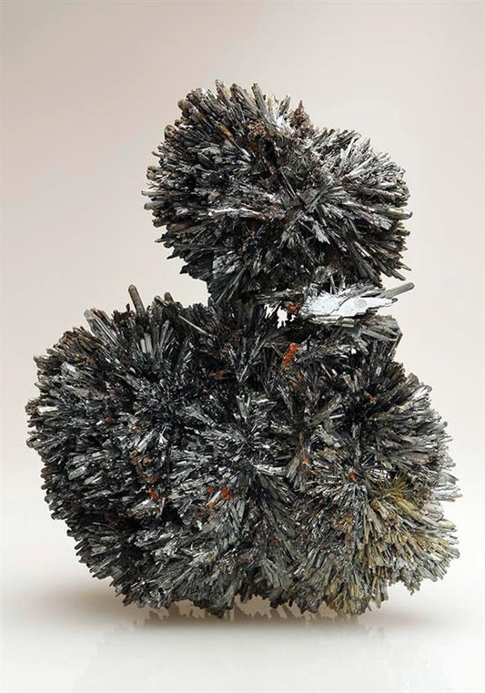 CC9014 specimen image