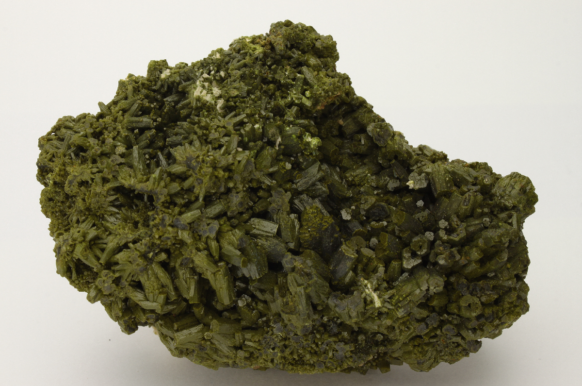 CC9028 specimen image