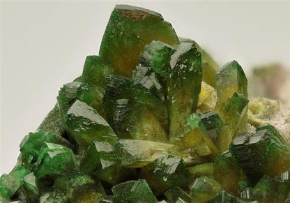 CC9044 specimen image