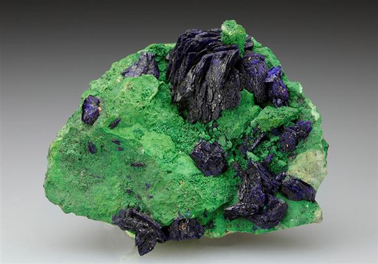 CC9045 specimen image