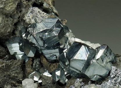 CC9048 specimen image