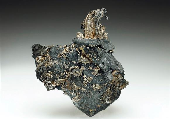CC9051 specimen image
