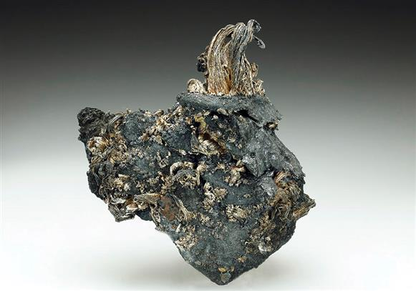 CC9051 specimen image