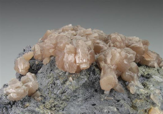 CC9074 specimen image