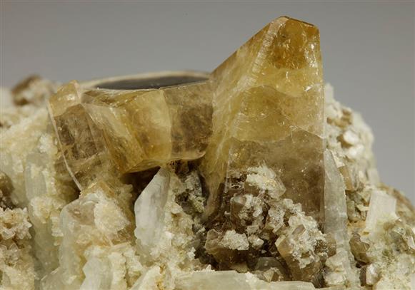 CC9099 specimen image