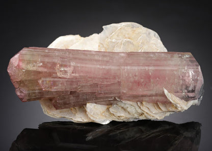 CC9107 specimen image